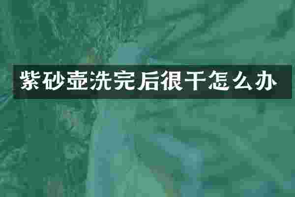 紫砂壶洗完后很干怎么办