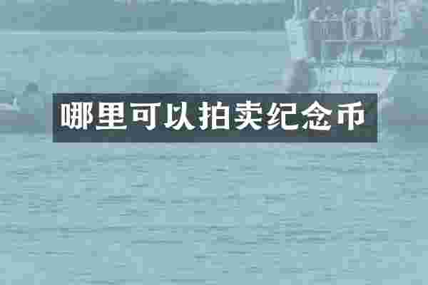 哪里可以拍卖纪念币