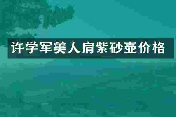 许学军美人肩紫砂壶价格