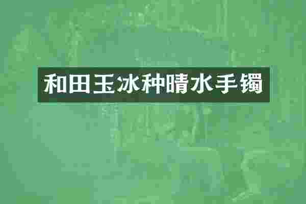 和田玉冰种晴水手镯