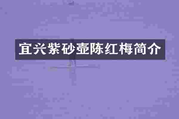 宜兴紫砂壶陈红梅简介