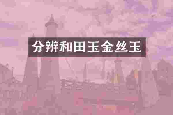 分辨和田玉金丝玉