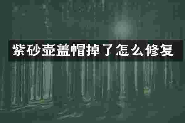 紫砂壶盖帽掉了怎么修复