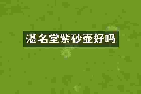 湛名堂紫砂壶好吗