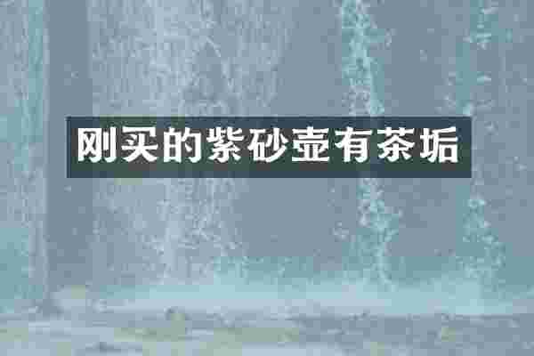 刚买的紫砂壶有茶垢