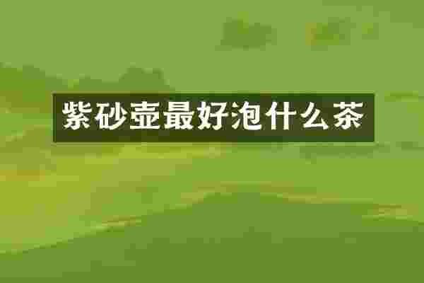 紫砂壶最好泡什么茶