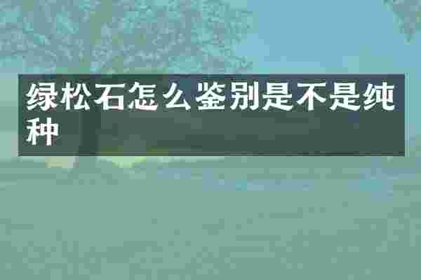 绿松石怎么鉴别是不是纯种