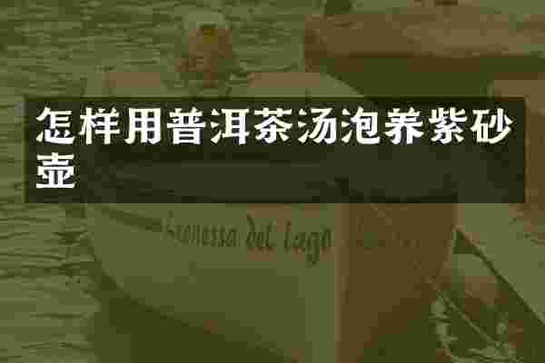 怎样用普洱茶汤泡养紫砂壶