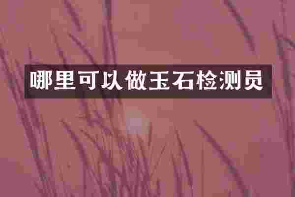 哪里可以做玉石检测员