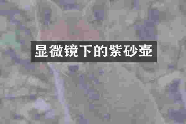 显微镜下的紫砂壶