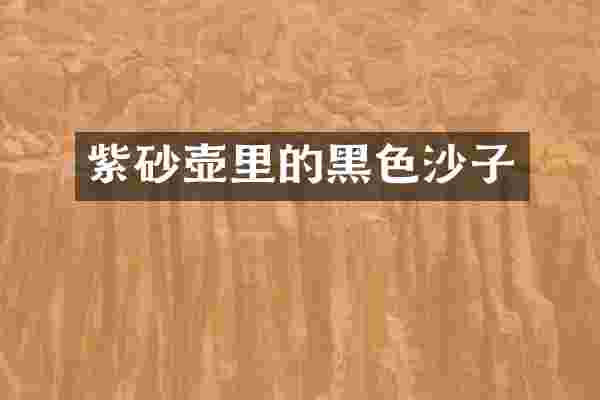 紫砂壶里的黑色沙子