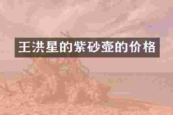 王洪星的紫砂壶的价格