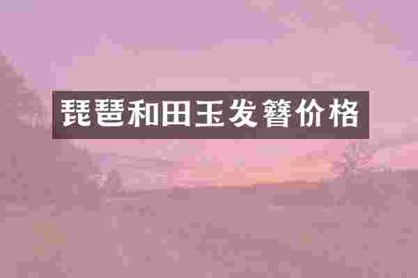 琵琶和田玉发簪价格