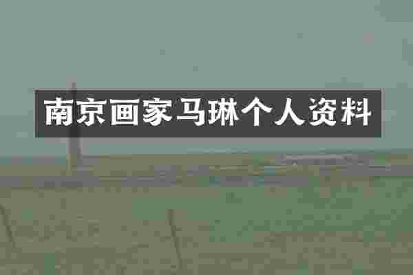 南京画家马琳个人资料