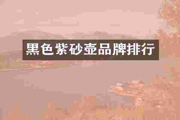 黑色紫砂壶品牌排行
