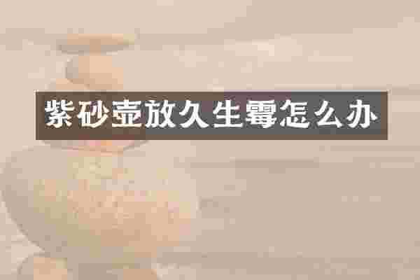 紫砂壶放久生霉怎么办