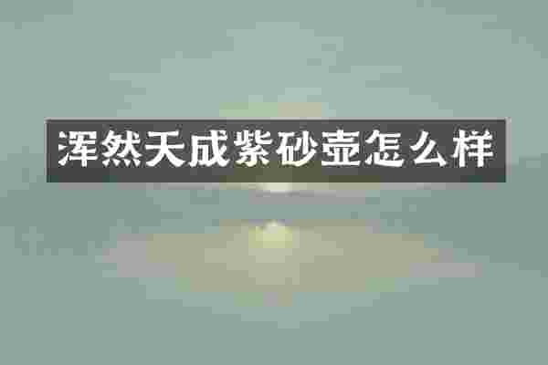 浑然天成紫砂壶怎么样
