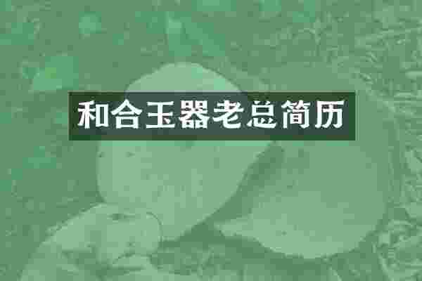 和合玉器老总简历