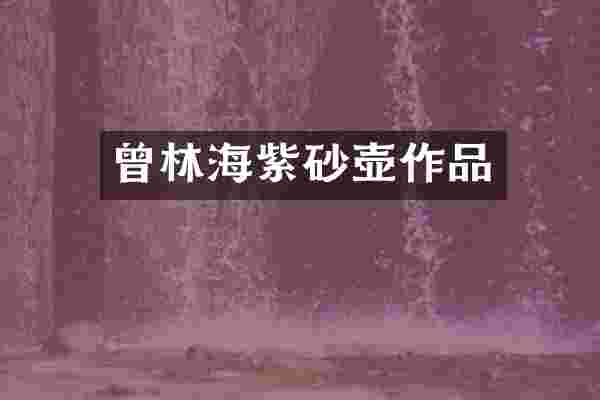 曾林海紫砂壶作品