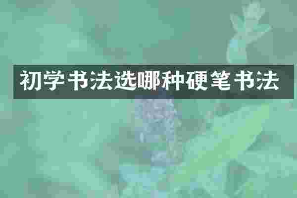 初学书法选哪种硬笔书法