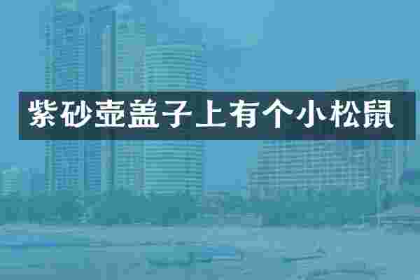 紫砂壶盖子上有个小松鼠