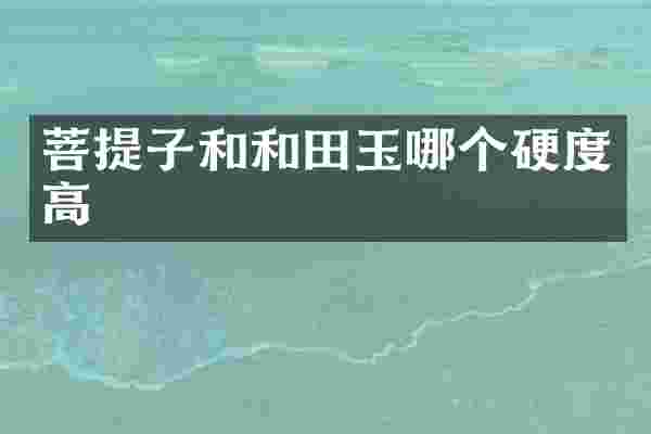 菩提子和和田玉哪个硬度高