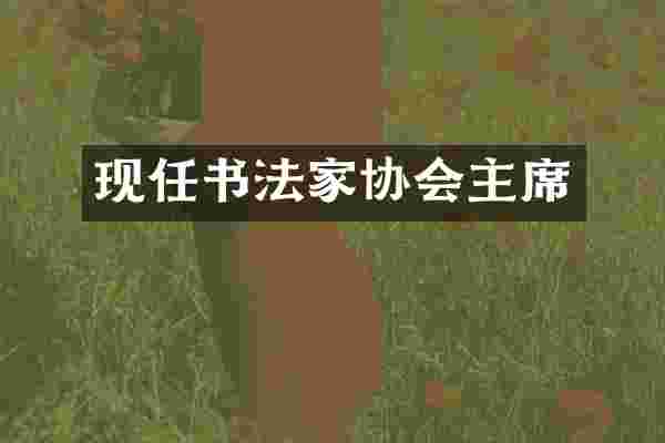 现任书法家协会主席
