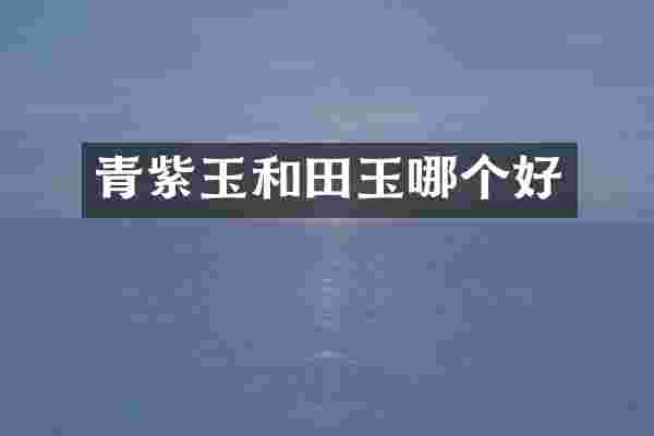 青紫玉和田玉哪个好