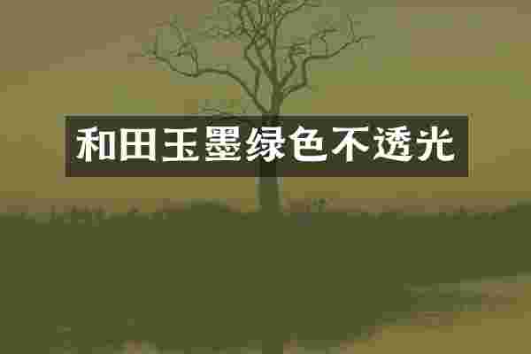 和田玉墨绿色不透光