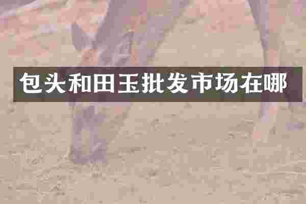 包头和田玉批发市场在哪
