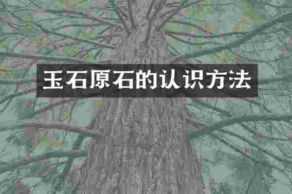玉石原石的认识方法