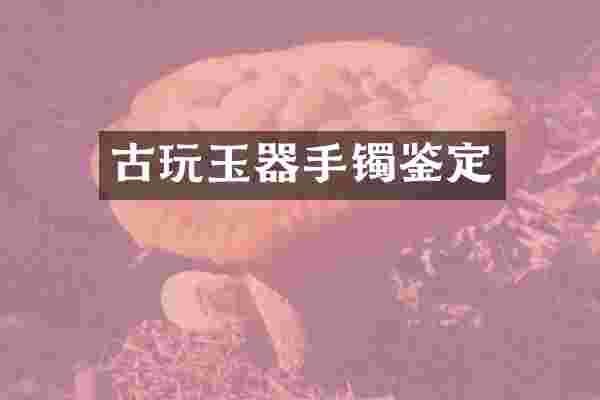 古玩玉器手镯鉴定