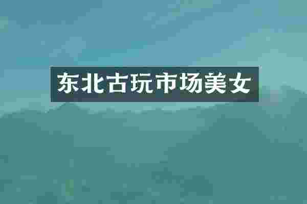 东北古玩市场美女