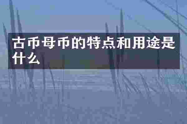 古币母币的特点和用途是什么