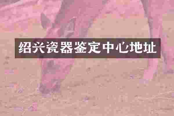 绍兴瓷器鉴定中心地址