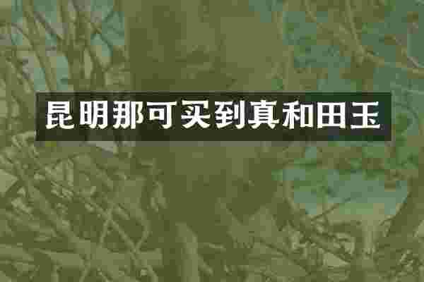 昆明那可买到真和田玉