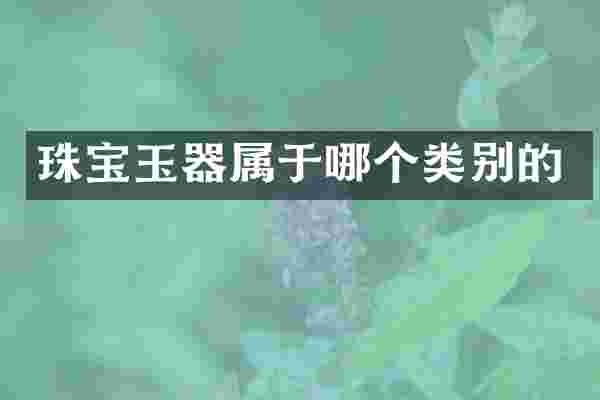 珠宝玉器属于哪个类别的