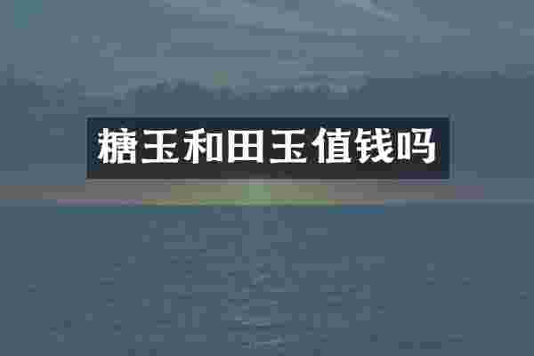 糖玉和田玉值钱吗