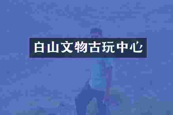 白山文物古玩中心