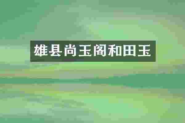 雄县尚玉阁和田玉