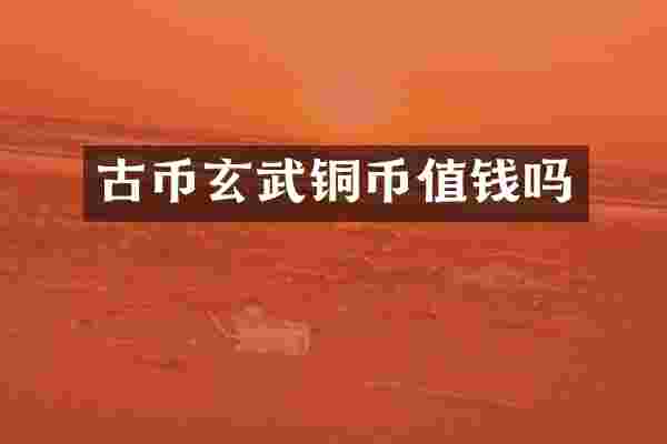 古币玄武铜币值钱吗