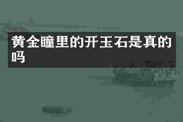 黄金瞳里的开玉石是真的吗