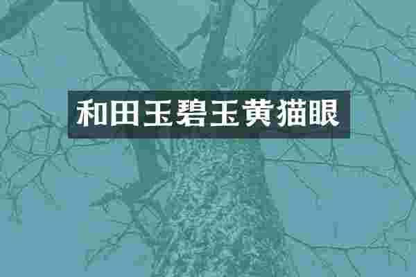 和田玉碧玉黄猫眼