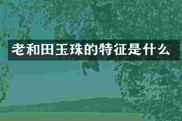 老和田玉珠的特征是什么