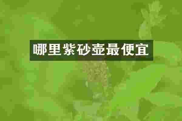 哪里紫砂壶