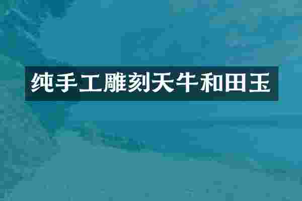 纯手工雕刻天牛和田玉