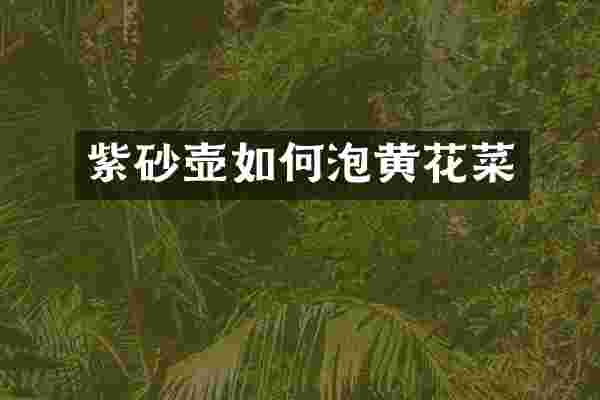 紫砂壶如何泡黄花菜