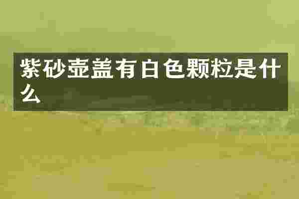紫砂壶盖有白色颗粒是什么