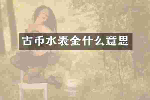 古币水表金什么意思