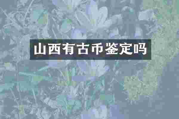 山西有古币鉴定吗